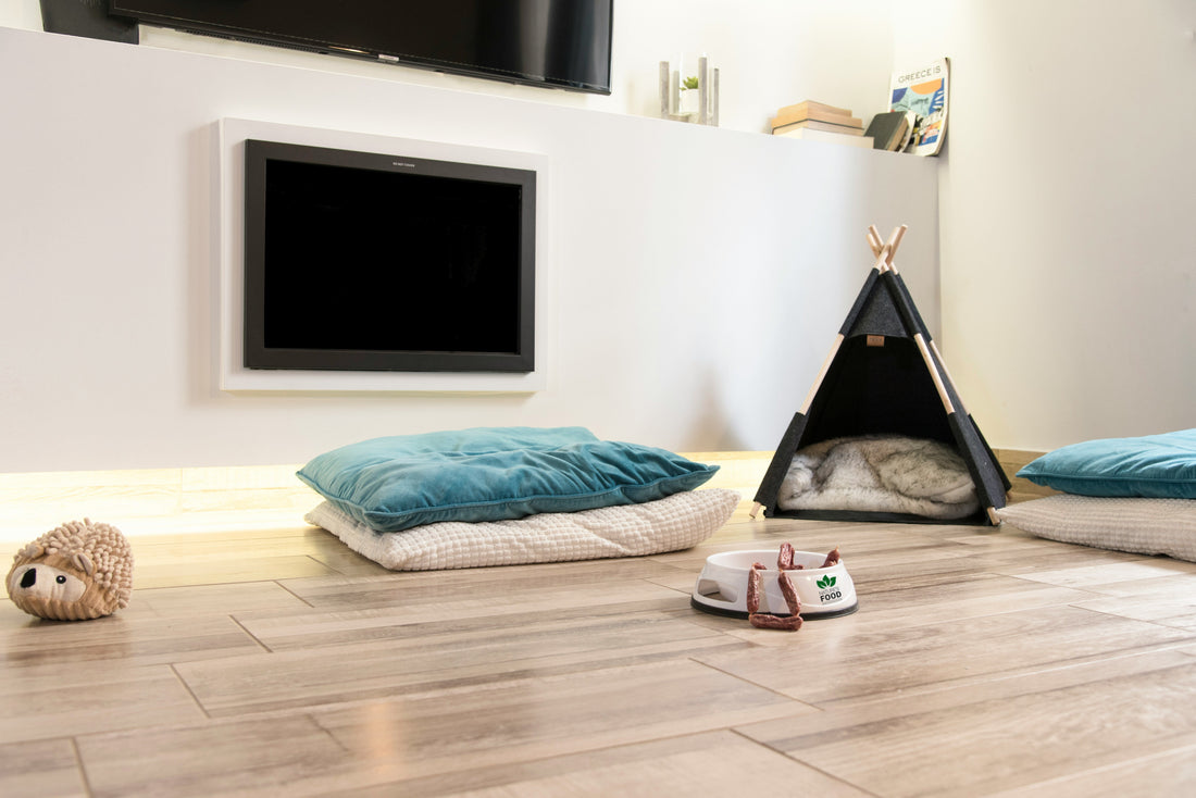 How to Choose the Right Montessori Bed for Your Child's Room