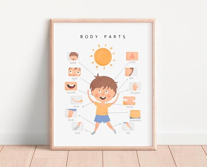 OZCONO Body Parts Poster for Kids Learning, Educational Classroom Wall Chart for Preschool, Toddler, Montessori Nursery Teaching Resource (Unframed) (9x11)