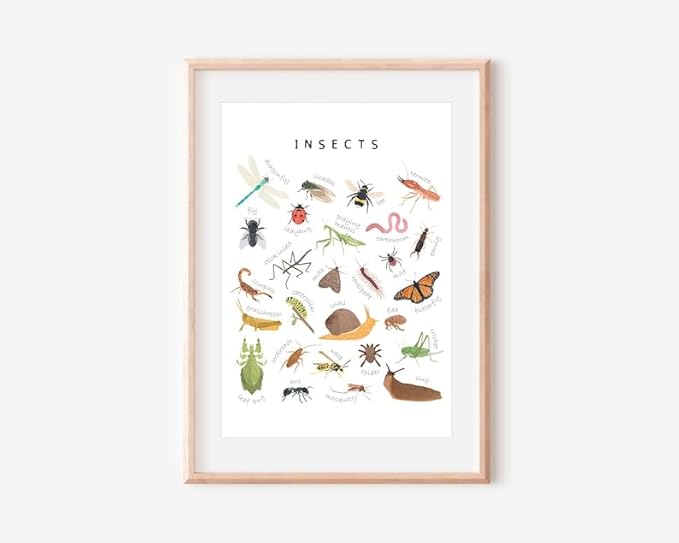 OZCONO Educational Insects Poster, Bugs Learning Chart Kids, Classroom Wall Decor Art, Montessori Homeschool Aid (Unframed) (27x40)