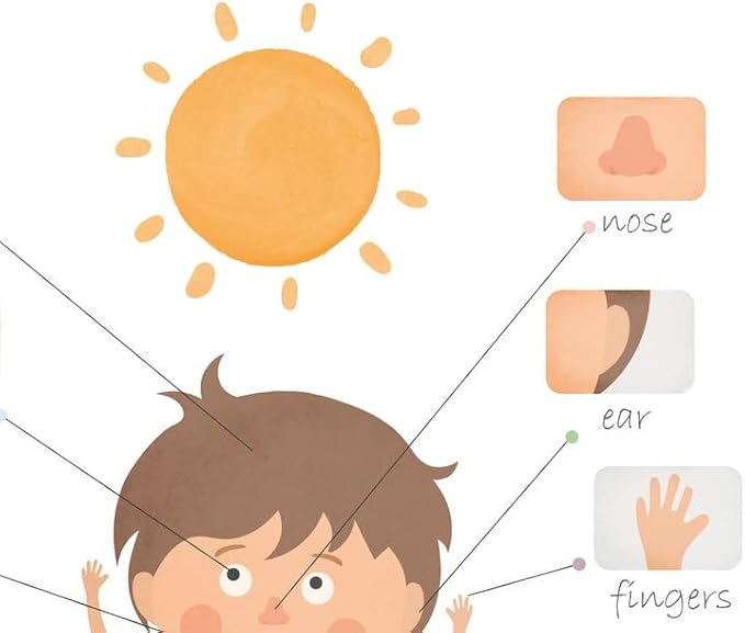 OZCONO Body Parts Poster for Kids Learning, Educational Classroom Wall Chart for Preschool, Toddler, Montessori Nursery Teaching Resource (Unframed) (11x14)