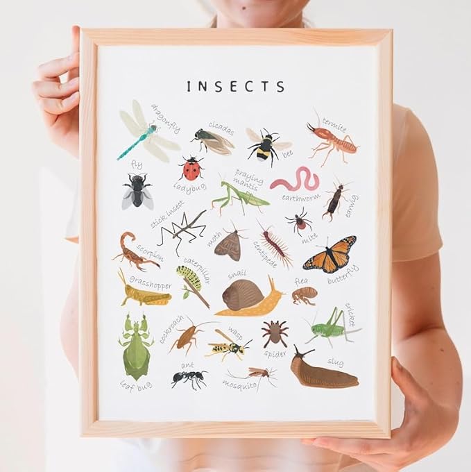 OZCONO Educational Insects Poster, Bugs Learning Chart Kids, Classroom Wall Decor Art, Montessori Homeschool Aid (Unframed) (27x40)