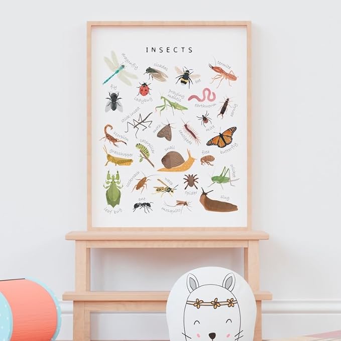 OZCONO Educational Insects Poster, Bugs Learning Chart Kids, Classroom Wall Decor Art, Montessori Homeschool Aid (Unframed) (20x30)