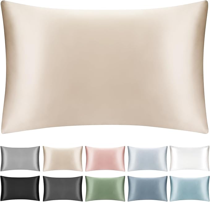 100% Mulberry Silk Pillowcase with Hidden Zipper,Both Sides Pure Silk Breathable Pillow Case for Hair and Skin,19 Momme Grade 6A,1pc,Beige,Queen Size 20x30 Inches
