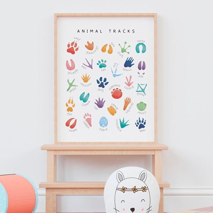 OZCONO Animal Tracks Learning Poster, Vibrant Wildlife Chart Kids, Preschool Wall Decor Art, Homeschool Education Guide (Unframed) (9x11)
