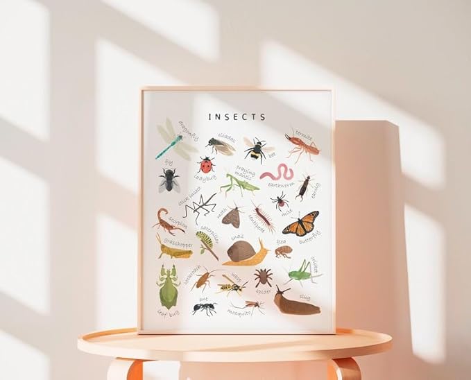 OZCONO Educational Insects Poster, Bugs Learning Chart Kids, Classroom Wall Decor Art, Montessori Homeschool Aid (Unframed) (12x18)