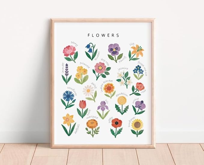 OZCONO Flowers Learning Poster, Vibrant Nature Chart Kids, Preschool Wall Decor Art, Homeschool Education Guide (Unframed) (9x11)