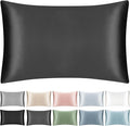 100% Mulberry Silk Pillowcase with Hidden Zipper,Both Sides Pure Silk Breathable Pillow Case for Hair and Skin,19 Momme Grade 6A,1pc,Charcoal,Queen Size 20x30 Inches