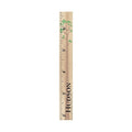 Wooden Kids Growth Height Chart Ruler for Boys and Girls Painted (The Hudson) by Back40Life
