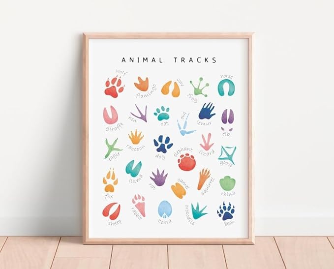 OZCONO Animal Tracks Learning Poster, Vibrant Wildlife Chart Kids, Preschool Wall Decor Art, Homeschool Education Guide (Unframed) (9x11)