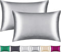 100% Mulberry Silk Pillowcase 2 Pack for Hair and Skin,with Hidden Zipper,Both Sides 22 Momme Natural Silk Pillow Cover,Soft Breathable & Smooth (Gray, Standard)