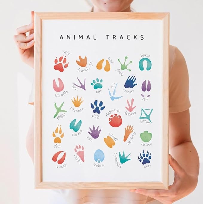 OZCONO Animal Tracks Learning Poster, Vibrant Wildlife Chart Kids, Preschool Wall Decor Art, Homeschool Education Guide (Unframed) (16x24)