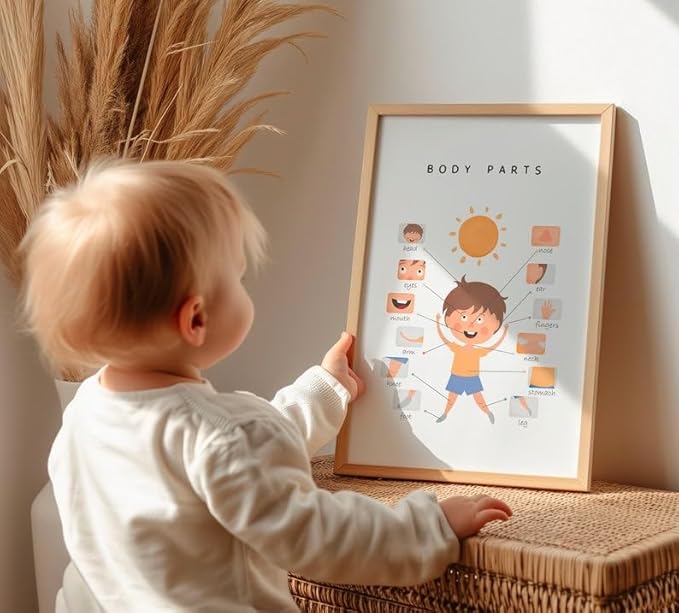 OZCONO Body Parts Poster for Kids Learning, Educational Classroom Wall Chart for Preschool, Toddler, Montessori Nursery Teaching Resource (Unframed) (24x36)
