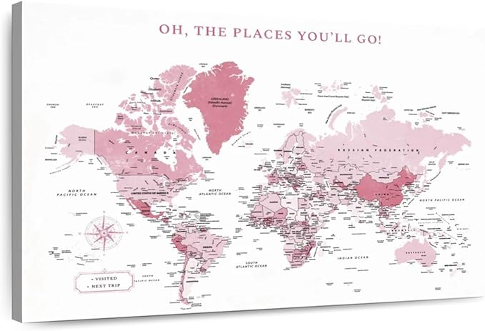 ElephantStock - Places You'll Go Push Pin World Map Wall Art - Horizontal Canvas Wall Art - Living Room Wall Decor - Digital Art Map Canvas Art - White And Pink Decor - 39" x 26"