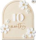 Daisy 3D Baby Monthly Milestone, Wooden Baby Milestone Signs, Monthly Milestone Wood Discs, Baby Milestone Discs (Daisy)