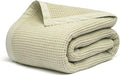 Salt Earth GOTS Certified 100% Organic Cotton Throw Blanket, 60"x80" Waffle Blankets & Throws for Bed, Throw Blanket for Couch, Cozy Christmas Blankets and Throws for Christmas Gifts (Sea Foam)