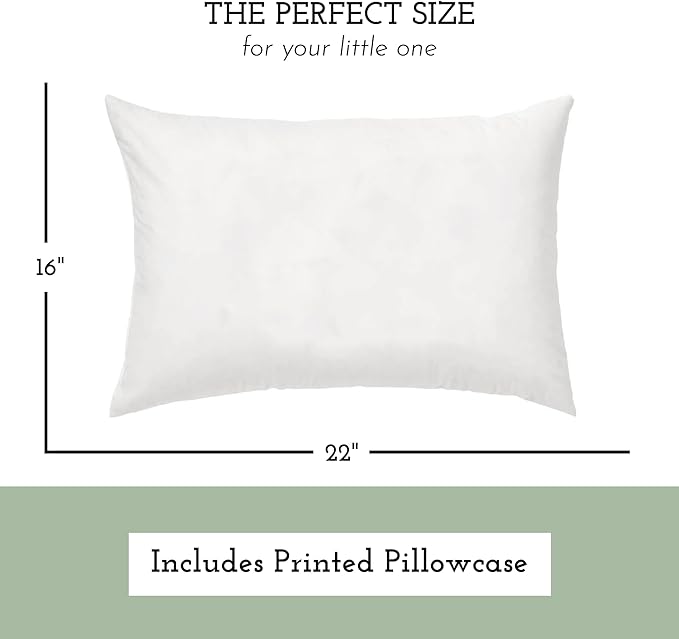 Little Sleepy Head Youth Pillow with Pillowcase 16x22, Soft Jumbo Toddler Pillow, Hypoallergenic Pillowcase - Best Kids Pillows for Sleeping, Perfect Kids Travel Pillow (Sage)