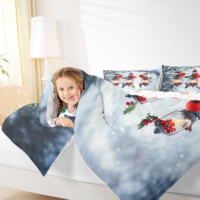 Feelyou Merry Christmas Comforter Set All Season Robin Bird Bedding Set with 2 Pillow Cases Snowflake Microfiber Kids Full Bedclothes Winter Bedroom Decor Duvet Quilt Breathable Soft Lightweight