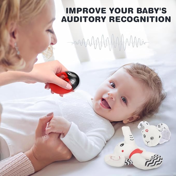 Joyreal High Contrast Baby Toys 0-6 Months, Black and White Sensory Toys for Newborn Brain Development, Montessori Infant Toys with 20 Cards