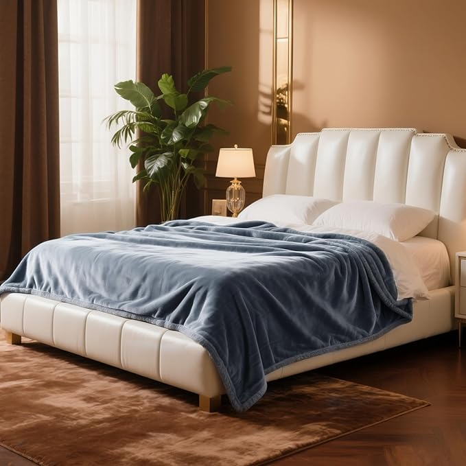 Plush Velvet Fleece Bed Blanket, Lightweight Queen Size Blanket, Soft Fuzzy Cozy Blanket for Couch (Haze Blue, Queen)