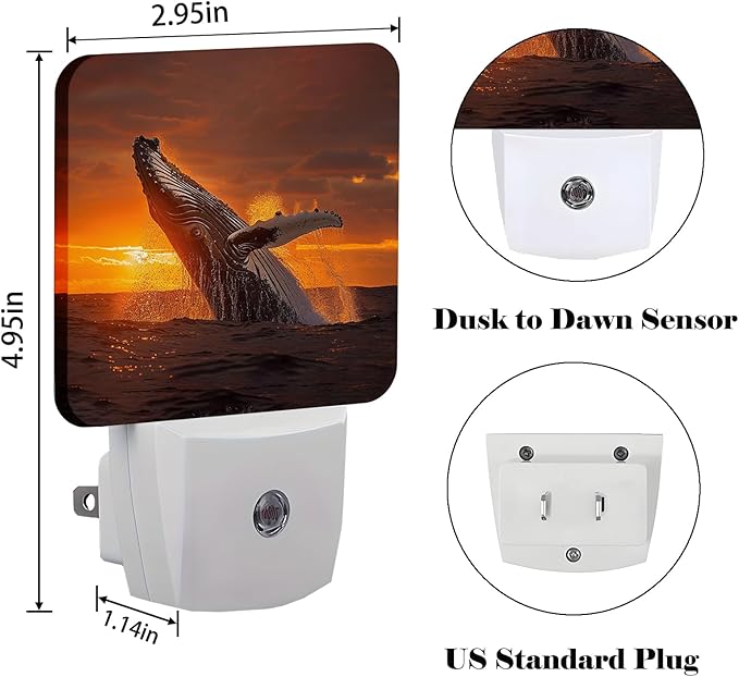 Sunset Humpback Whale Night Light,Plug Into Wall for Boys Girls Bedroom Decorative Square Night Light Lamp 0.5w Sleep Friendly