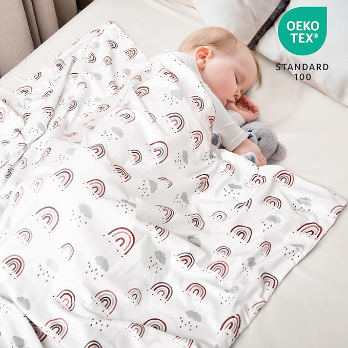 david's kids Micro Fleece Minky Baby Blanket for Boys Girls with Double Layer and Soothing Raised Dots, Breathable and Soft Lightweight Receiving Blanket for Newborns, 30x40 Inches, Rainbow