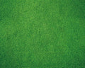 Kate Photography Floor Mats Green Grassland Floor Backdrop Wall Rubber Mat Newborn Photography Props for Professional Photo Shoot Studio 5x4ft