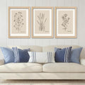 YWJKWLGS Vintage Botanical Wall Art 11x16 Inch Set Of 3 Wooded Framed Minimalist Rustic Wildflower Pictures Floral Sign Bedroom Wall Hanging Decor (Wood)