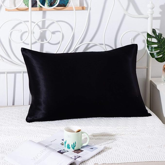 SLPBABY 100% Natural Pure Silk Pillowcase for Hair and Skin, Both Side 19 Momme Silk, Luxury Smooth Satin Pillowcase Cover with Hidden Zipper (Standard(20''x26''), Black)