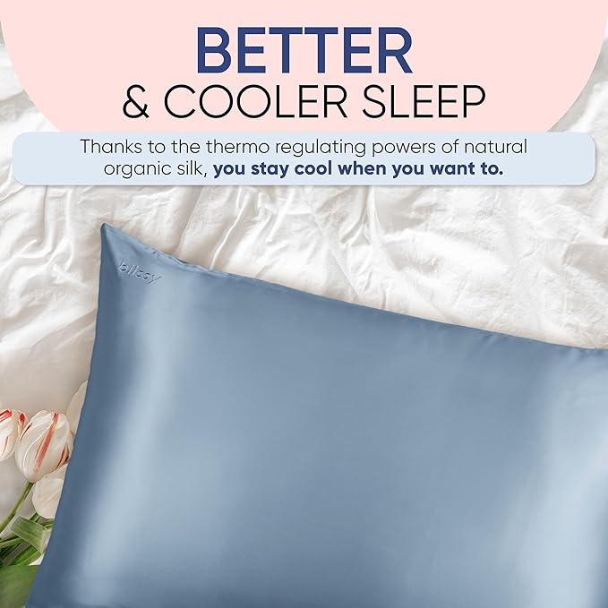 Blissy Silk Pillowcase - 100% Pure Mulberry Silk - 22 Momme 6A High-Grade Fibers - Silk Pillow Cover for Hair & Skin - Regular, Queen & King (Ash Blue, Standard)