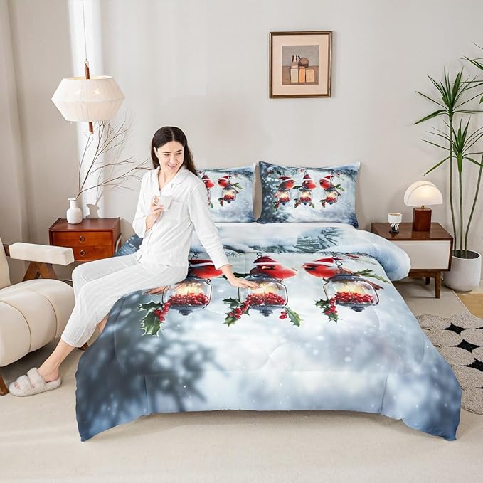 Feelyou Merry Christmas Comforter Set All Season Robin Bird Bedding Set with 1 Pillow Cases Snowflake Microfiber Kids Twin Bedclothes Winter Bedroom Decor Duvet Quilt Breathable Soft Lightweight