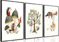 3Pcs Woodland Safari Animals Nursery Canvas Wall Art Baby Jungle Small Animal Wall Decor Pictures Tree Bear Rabbit Fox Hedgehog Kids Posters Prints for Classroom Children Bedroom Decoration Unframed