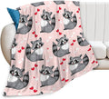 Tijuboni Pink Raccoon Throw Blanket Raccoon Gifts for Girls Boys Women Men Kids Adults Soft Flannel Fleece Blanket for Couch Sofa Bed Home Decor 60"x80"