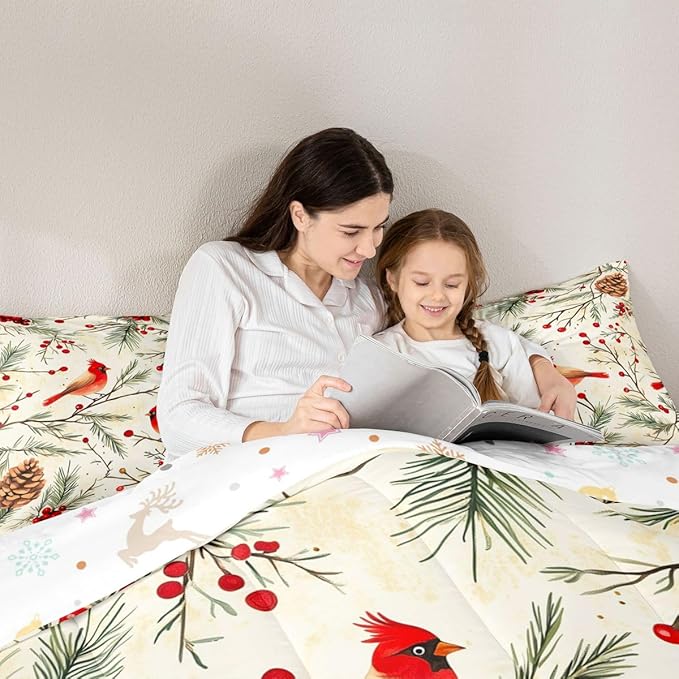 Feelyou Cardinal Bird Kids Comforter Set Queen Size Pine Branch Bedding Set Red Berry Duvet Quilt for Kids Boys Girls Bedroom Pine Cone Decor Winter Christmas Pattern Microfiber Ultra Soft Breathable