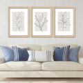 YWJKWLGS Neutral Botanical Prints Framed Wall Art Decor 16x24 Inch Set of 3 Boho Plant pictures Sign minimalist Vintage for Bedroom Office bathroom Wall Hanging (Wood)