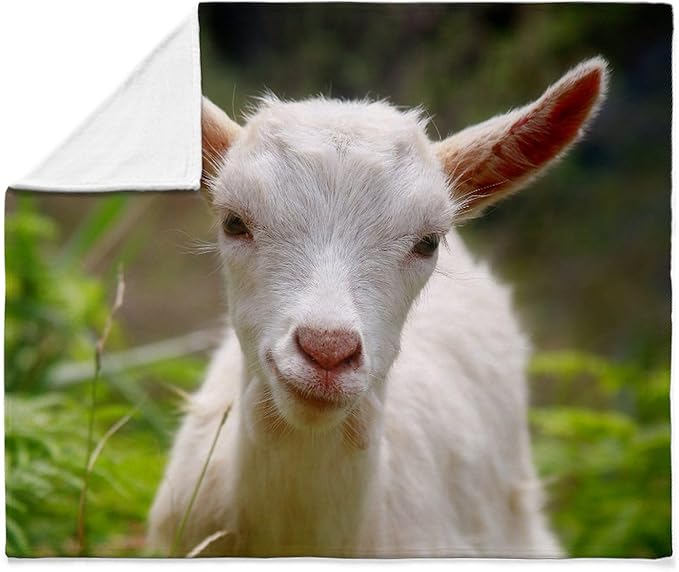 CafePress Baby Goat Throw Blanket Super Soft Fleece Plush Throw Blanket, 60"x50"