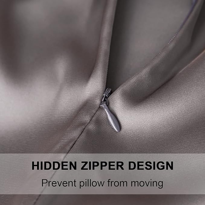 Mulberry Silk Pillowcase for Hair and Skin,Queen Size Cooling Silk Pillow Case with Hidden Zipper,Allergen Proof Dual Sides Soft Breathable Smooth Silk Pillow Cover for Women(Queen,Dark Gray)