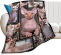 Sphynx Cat Gifts and Decor - Cute Throw Blanket for Girls, Women, Kids, Adults - Soft, Warm, Cozy Fleece Blanket for Couch, Sofa, Bed - 60"x50"