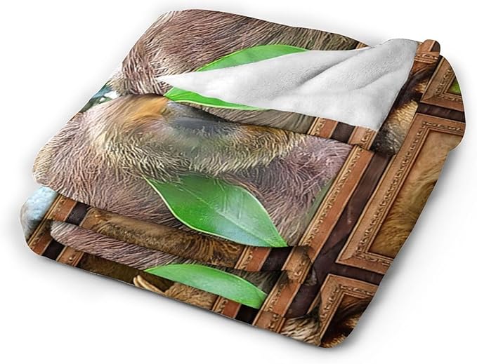 Tijuboni Sloth Throw Blanket Sloth Gifts for Girls Boys Women Men Kids Adults Soft Flannel Fleece Blanket for Couch Sofa Bed Home Decor 40"x50"