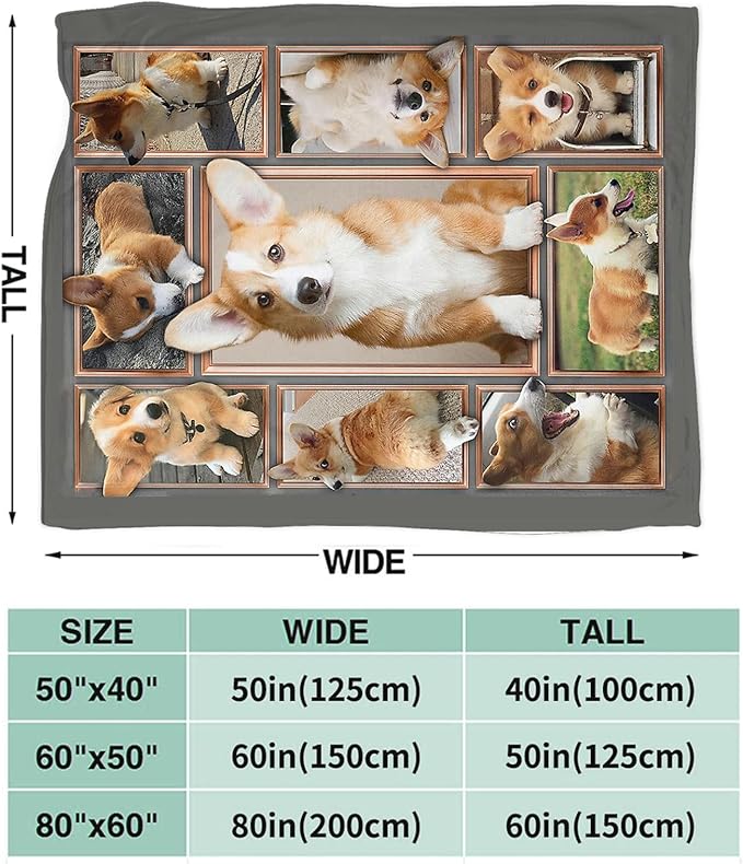 Tijuboni Corgi Throw Blanket Dog Gifts for Girls Boys Women Men Kids Adults Soft Flannel Fleece Blanket for Couch Sofa Bed Home Decor 50"x60"