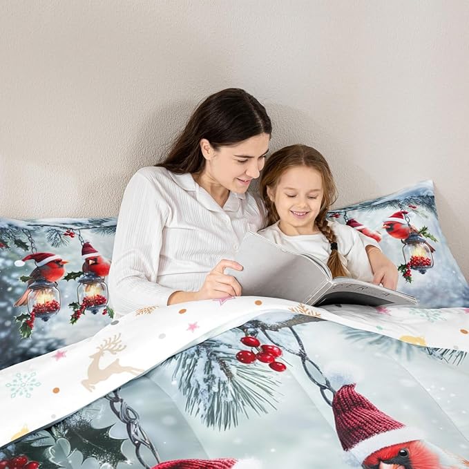 Feelyou Merry Christmas Comforter Set All Season Robin Bird Bedding Set with 2 Pillow Cases Snowflake Microfiber Kids Queen Bedclothes Winter Bedroom Decor Duvet Quilt Breathable Soft Lightweight