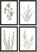 YWJKWLGS Botanical Watercolor Prints Sign Sage Green Eucalyptus Wall Decor 11x16 Inch Set of 4 Minimalist Wood Framed for Bathroom Laundry Room Office Wall Hanging Art (Black)