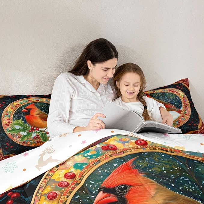 Feelyou Merry Christmas Comforter Set Twin Size Robin Bird Bedding Set for Kids Boys Girls Snowflake Duvet Quilt Winter Bedroom Decor Microfiber 2 Pcs with 1 Pillow Cases