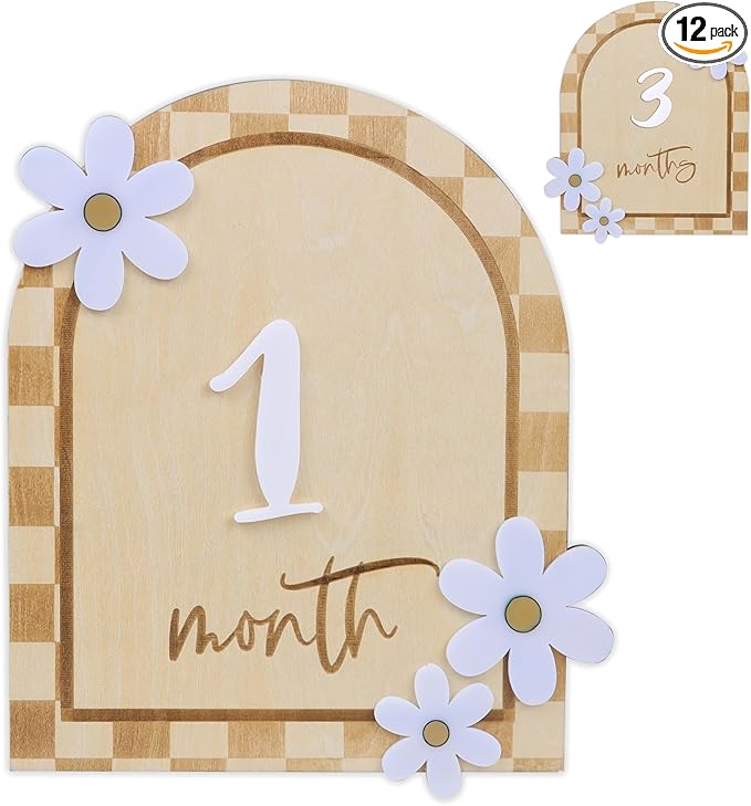 Daisy 3D Baby Monthly Milestone, Wooden Baby Milestone Signs, Monthly Milestone Wood Discs, Baby Milestone Discs (Caro Card)