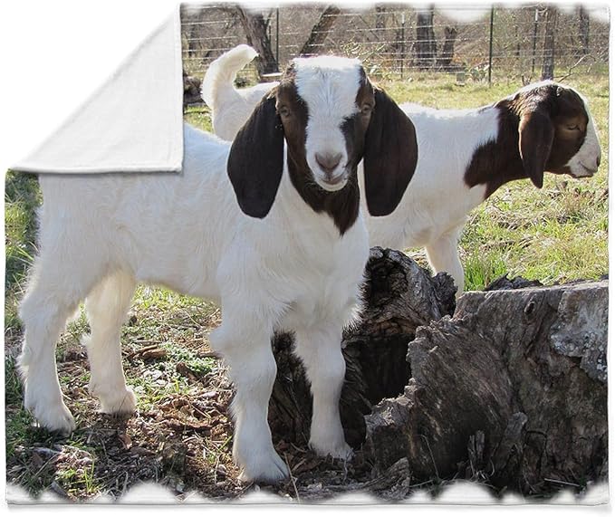 CafePress Twin Goats in The Woods Throw Blanket Super Soft Fleece Plush Throw Blanket, 60"x50"