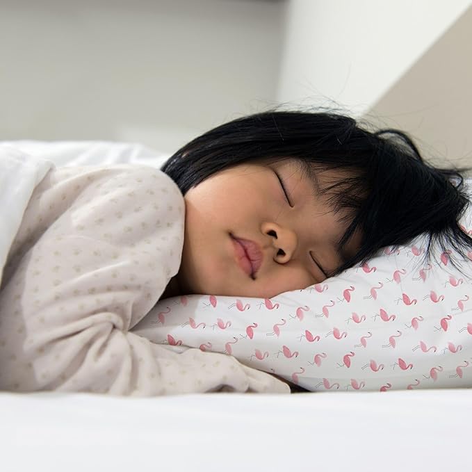 Little Sleepy Head Youth Pillow with Pillowcase 16x22, Soft Jumbo Toddler Pillow, Hypoallergenic Pillowcase - Best Kids Pillows for Sleeping, Perfect Kids Travel Pillow (Flamingo Flock)
