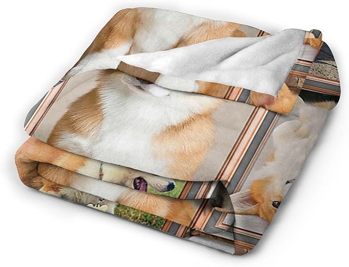 jerkboo Corgi Blanket Throws Corgi Gifts Cute Corgi Dog Throw Blanket for Girls Women Kids Adults Soft Warm Cozy Fleece Blanket for Couch Sofa Bed 50""x40""