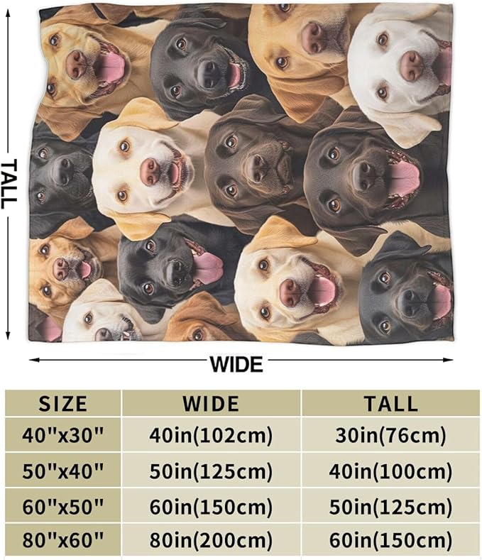 Labrador Blanket for Girls Boys Chocolate Retriever Throw Blankets Soft Cozy Warm Fuzzy Fleece Bedding Flannel Dog Throws Stuffed Animal Gifts for Labrador Lovers Kids Men Women Bedroom Decor 80"x60"