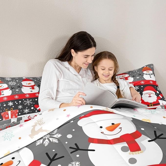 Feelyou Christmas Bedding Set Soft for Boys Girls, Merry Christmas Comforter Set Queen Size New Year Gift Duvet Quilt Microfiber Snowflake Bedroom Decor 3 Pcs with 2 Pillow Cases