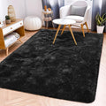 Fluffy Rug Flame Resistant 5x7 Feet, Black Throw Rugs for Living Room, Ultra Soft Shag Fuzzy Plush Carpets Indoor