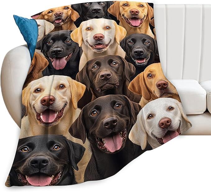 Labrador Blanket for Girls Boys Chocolate Retriever Throw Blankets Soft Cozy Warm Fuzzy Fleece Bedding Flannel Dog Throws Stuffed Animal Gifts for Labrador Lovers Kids Men Women Bedroom Decor 80"x60"